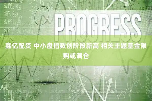 鑫亿配资 中小盘指数创阶段新高 相关主题基金限购或调仓