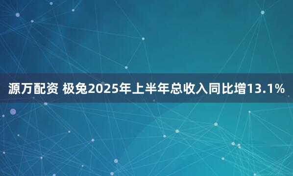 源万配资 极兔2025年上半年总收入同比增13.1%